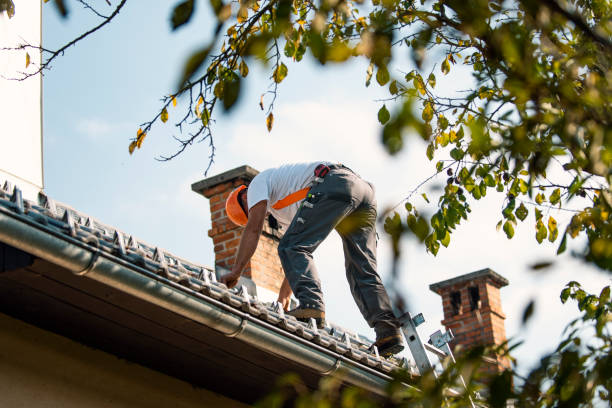 Steel Roofing in South Bay, FL