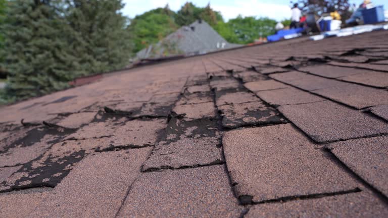 Best Roof Installation  in South Bay, FL