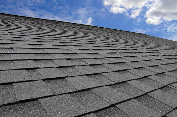Best Roof Insulation Installation  in South Bay, FL